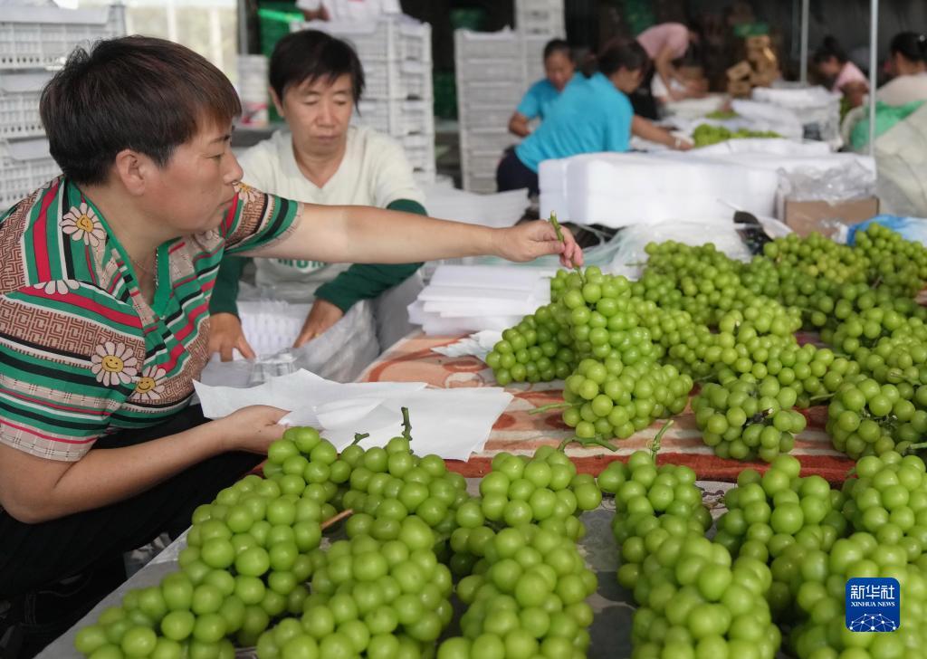 白菜网2025体验金无需申请