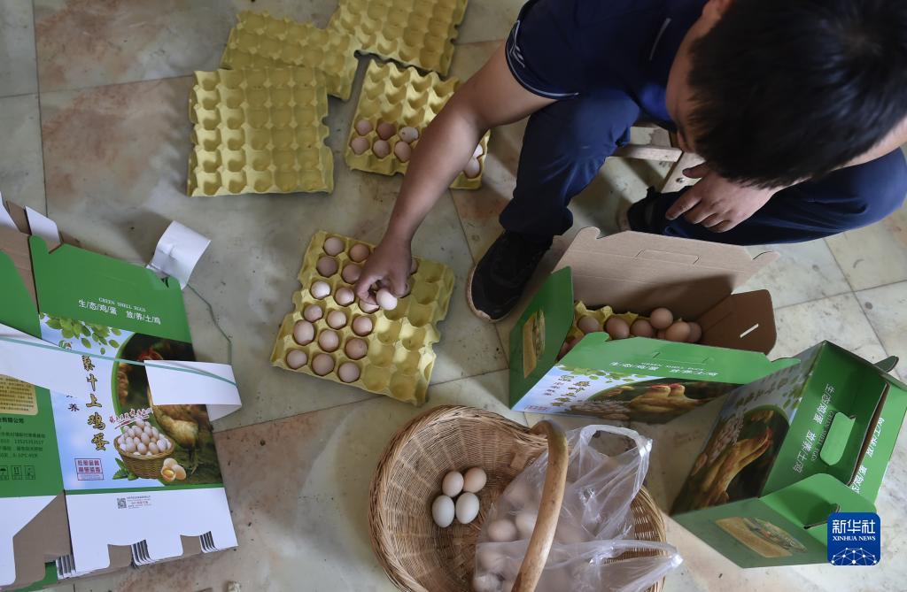 大满贯数量排名